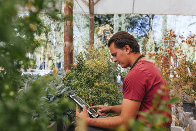 Side view of focused man with brown hair using tablet while working in greenhouse with plants at daytime