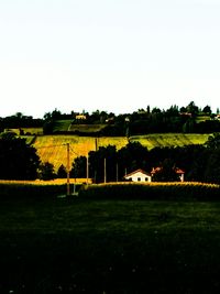 Scenic view of field against clear sky