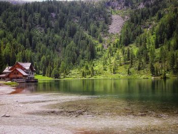 Scenic view of lake in forest