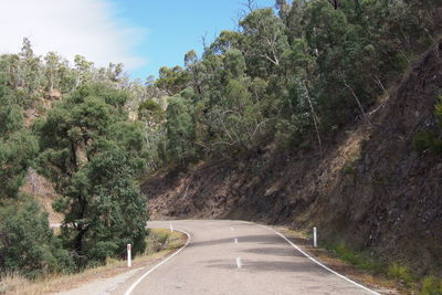 Empty road along trees