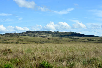 Scenic view of field against sky