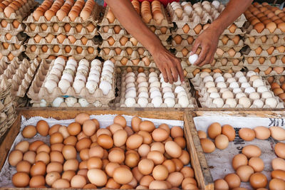Eggs are one of the most popular foods. eggs are also widely processed so a lot of food.