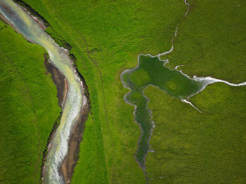 Aerial shot from river running through green field