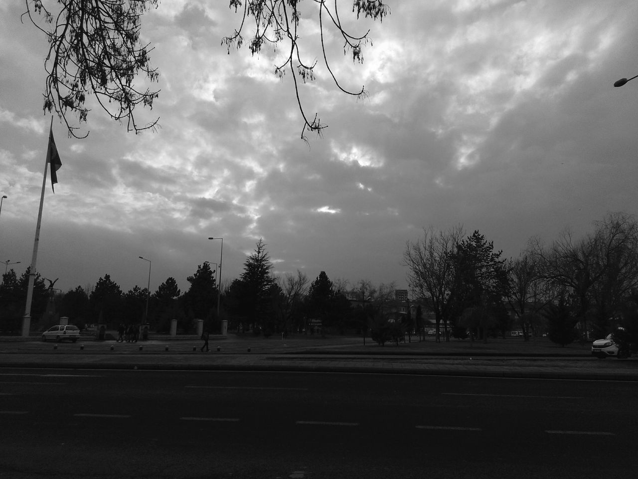 tree, sky, cloud - sky, road, outdoors, bare tree, day, no people, nature, city