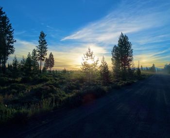 Road at sunset