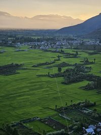 landscape