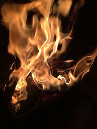 Close-up of bonfire at night