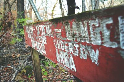 Close-up of signboard on tree