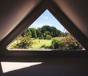 Trees seen through window