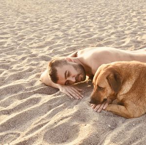 Dog lying on the beach