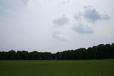 Scenic view of grassy field against sky