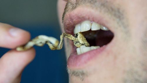 Close-up of hand eating leaf