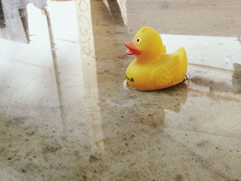 High angle view of rubber duck on wet floor