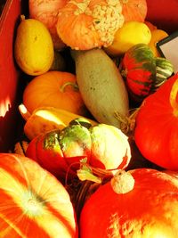 Full frame shot of pumpkins