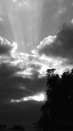 Low angle view of trees against cloudy sky