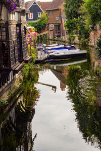 Reflection of trees and buildings in lake