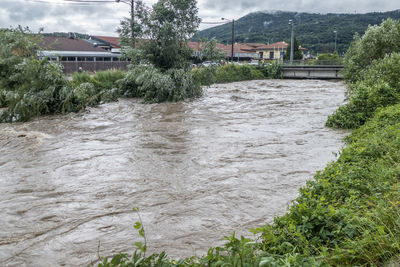 Scenic view of river amidst trees and houses