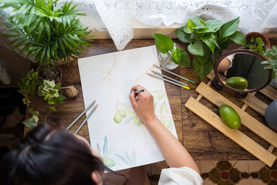 High angle view of woman holding potted plant on table