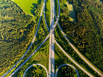 High angle view of road amidst trees