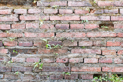 Full frame shot of brick wall