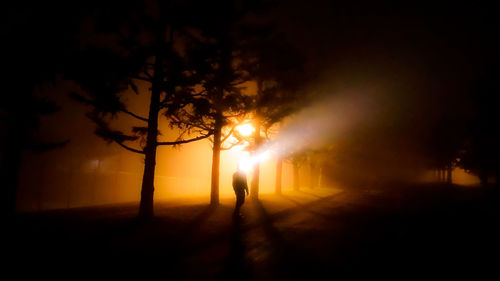 Silhouette people standing by trees against sky during sunset