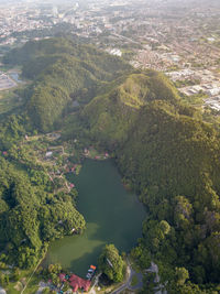 High angle view of river amidst trees