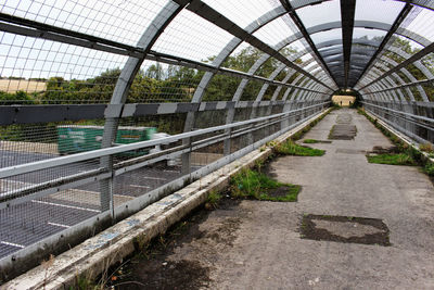 View of greenhouse