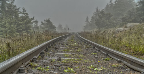 View of railroad track along trees