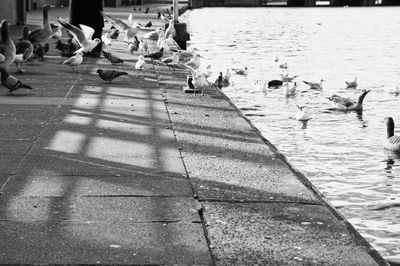 Low section of woman on footpath by water
