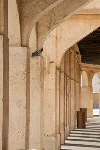 Souq waqif is a souq in doha, in the state of qatar. the souq is known for selling traditional marke