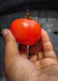 hand