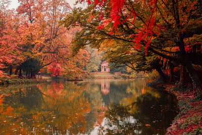 Trees by lake during autumn