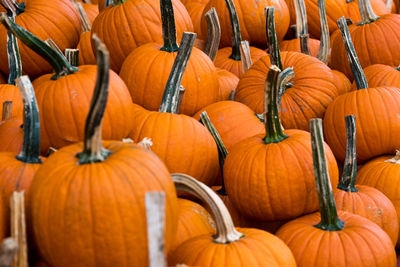 Pumpkins in market stall during autumn