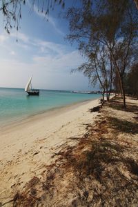 Scenic view of beach against sky