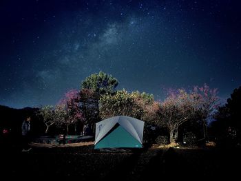 Trees against sky at night