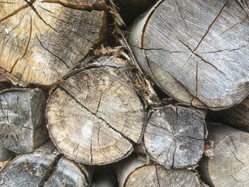 Full frame shot of logs in forest