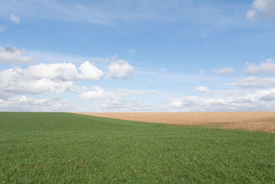 Scenic view of field against sky