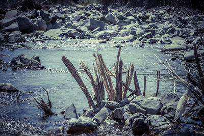 Close-up of frozen water in winter