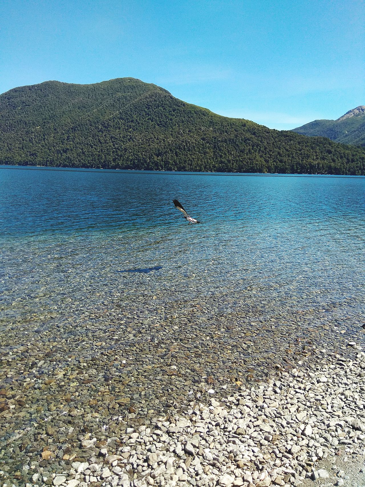 Lago Mascardi