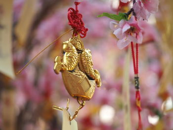 Low angle view of decorations