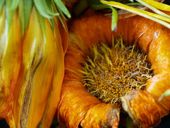 Close-up of vegetables