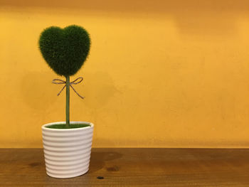 Close-up of potted plant on table against wall