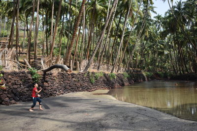 Rear view of man amidst trees