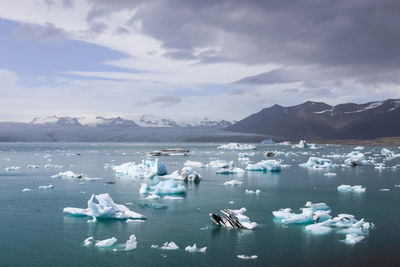 Iceland, jokulsarlon lagoon, turquoise icebergs floating in glacier lagoon on iceland