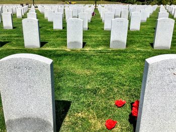 Tombstones at dallas-fort worth national cemetery during sunny day