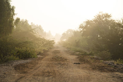 Dirt road amidst trees against sky