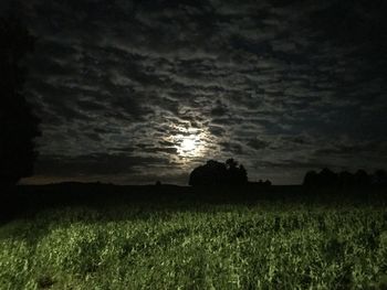 Scenic view of field against sky during sunset