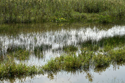 Full frame shot of water
