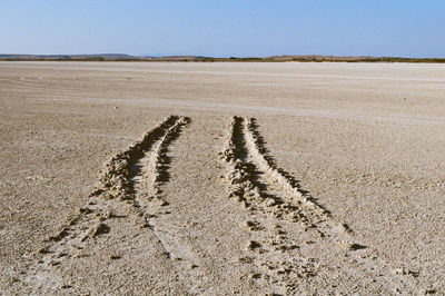 Scenic view of sand dune on beach against sky