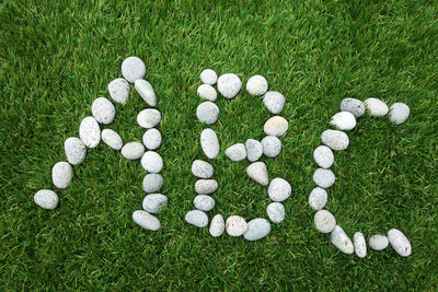 High angle view of pebbles on field